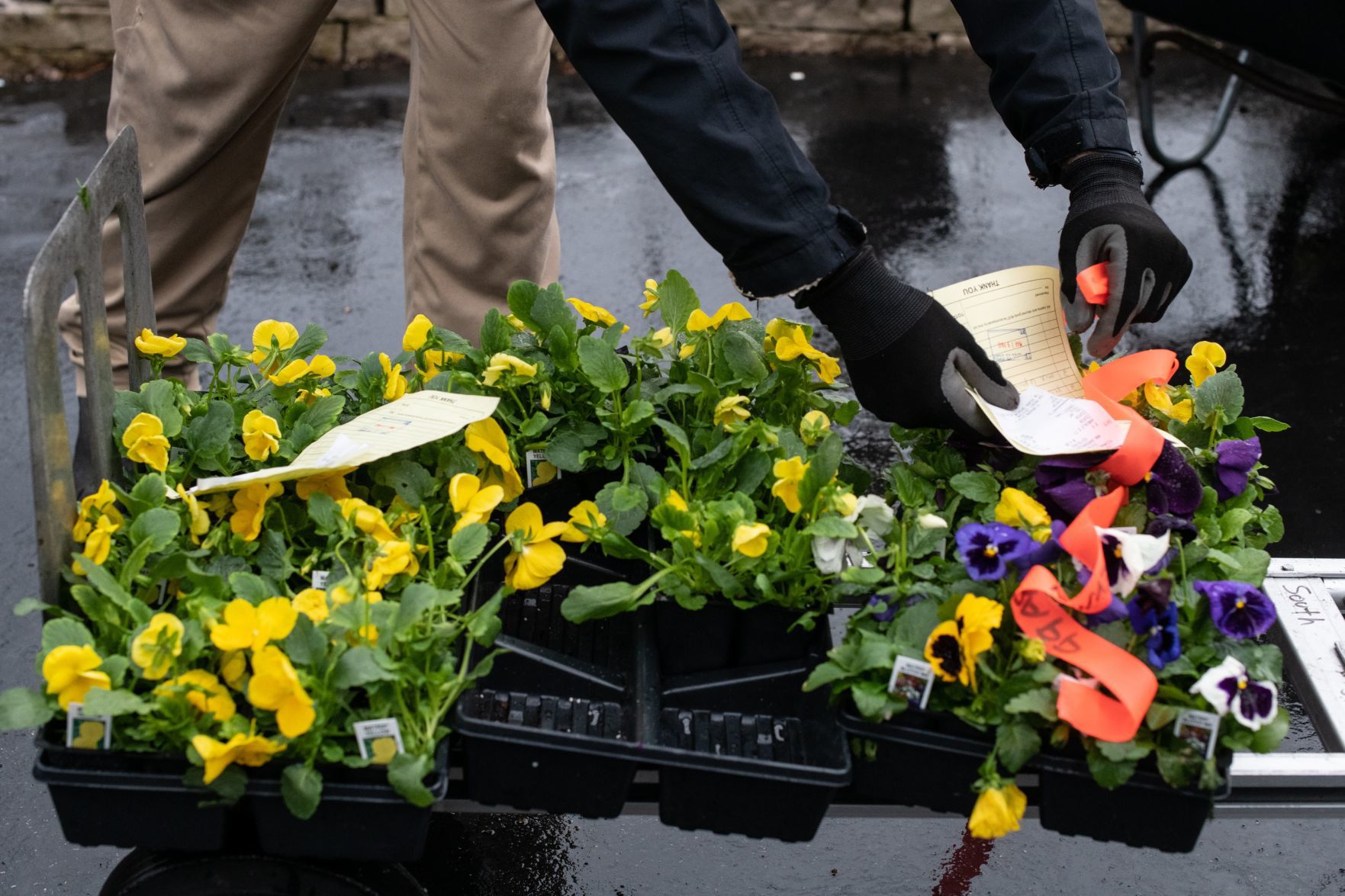 Plant stores salvage biggest season by adapting amid crisis